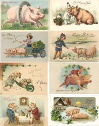 841010: Animals, Mammals, general