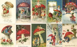 543510: Nature, Mushrooms, general