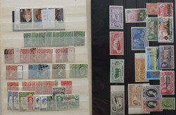 2480: Isole Falkland - Collections