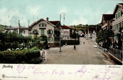 Heiden (Appenzell Ausserrhoden) Werdstrasse 1904 II (Eckknick)