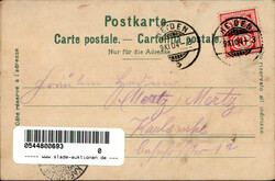 Heiden (Appenzell Ausserrhoden) Werdstrasse 1904 II (Eckknick)