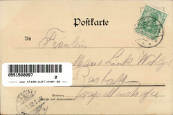 Selz (Elsass) Apotheke 1902 I-IIAutomatically generated translation ...