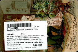 Kolonien Deutsch-Südwestafrika Feldpost von Windhuk nach ...
