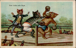 Thiele, Arthur Katze BKWI Serie 323 I-II  Automatically generated ...