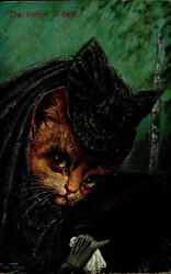 Thiele, Arthur Die kleine Witwe TSN Serie 896 I-II  Automatically ...