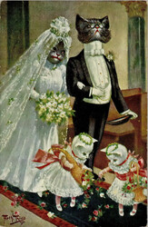 Thiele, Arthur Katze vermenschlicht TSN Serie 851 I-II  Automatically ...