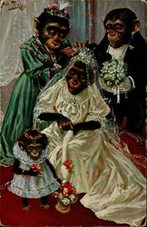 Thiele, Arthur Affe TSN Serie 844 I-II  Automatically generated ...