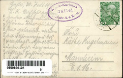 Gaflei (Liechtenstein) Alpen-Kurhaus I-IIAutomatically generated ...