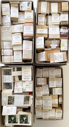 204099: Picture Postcards, Special Cards, other