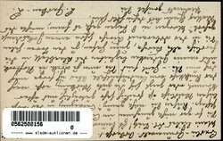 Misdroy Ferienkolonie Berliner Frauenverein gegen den Alkoholismus ...