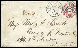 Wellington Express. Perfect strike of blue oval handstamp on paste-up ...