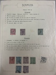 1880: Bermuda - Sammlungen