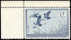 Federal Duck Stamp, 1955, $2 Blue Geese. Top left corner margin ...