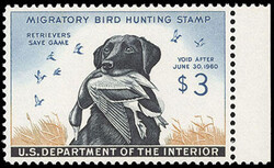 Federal Duck Stamp, 1959, $3 Labrador Retriever. Right margin single, ...