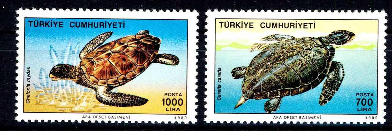 1989, Schildkröten-Satz, Turtle, Erhaltung siehe Abbildung,