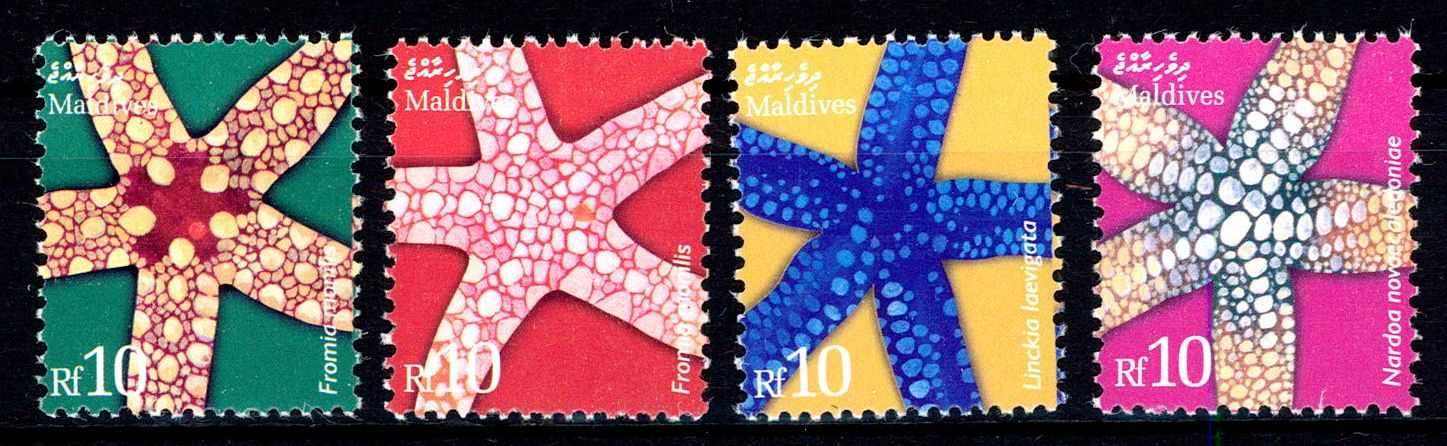 Seesterne-Satz 2004, siehe Abbildung.