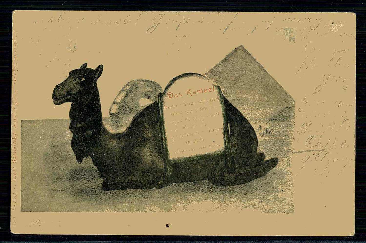 Humorkarte 'Das Kamel kann acht Tage arbeiten ohne zu trinken, aber ...