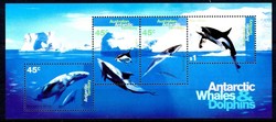 841035: Tiere, Säugetiere, Wale