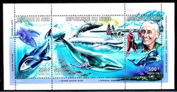 Cousteau-Kleinbogen 1998, Wale, whale, tauchen, diving, siehe ...