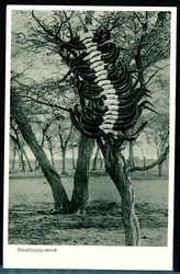 185: Deutsche Kolonien Südwestafrika