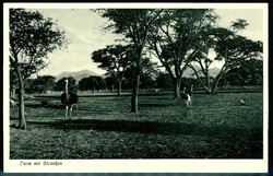 185: Deutsche Kolonien Südwestafrika