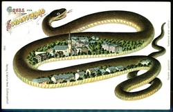 844015: Tiere, Reptilien, Schlangen