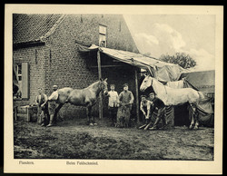 Großformatige Fotokarte, deutsche Soldaten in Flandern beim ...