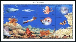 1999, Fische-Kleinbogen-Paar, Hai, shark, Schildkröte, turtle.