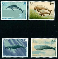 6010: Sri Lanka