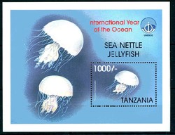 1998, Quallen-Block, Jellyfish.