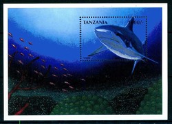 1998, Hai-Block, shark.