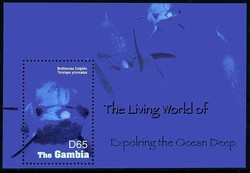 2005, Delfin-Block, dolphin.