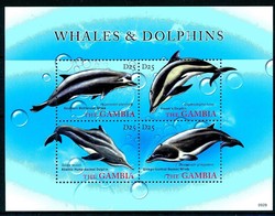 Ca. 2003, Delfine-Kleinbogen, dolphin.