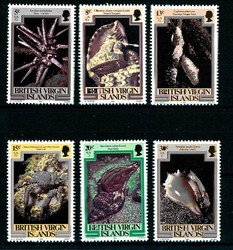 1982, Muscheln-Satz.