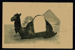 119250: Allemagne sud-est, zone de code postal O-92, 925-926 Mittweida - Picture postcards