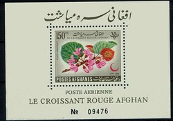 1600: Afghanistan