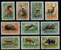 841010: Animals, Mammals, general