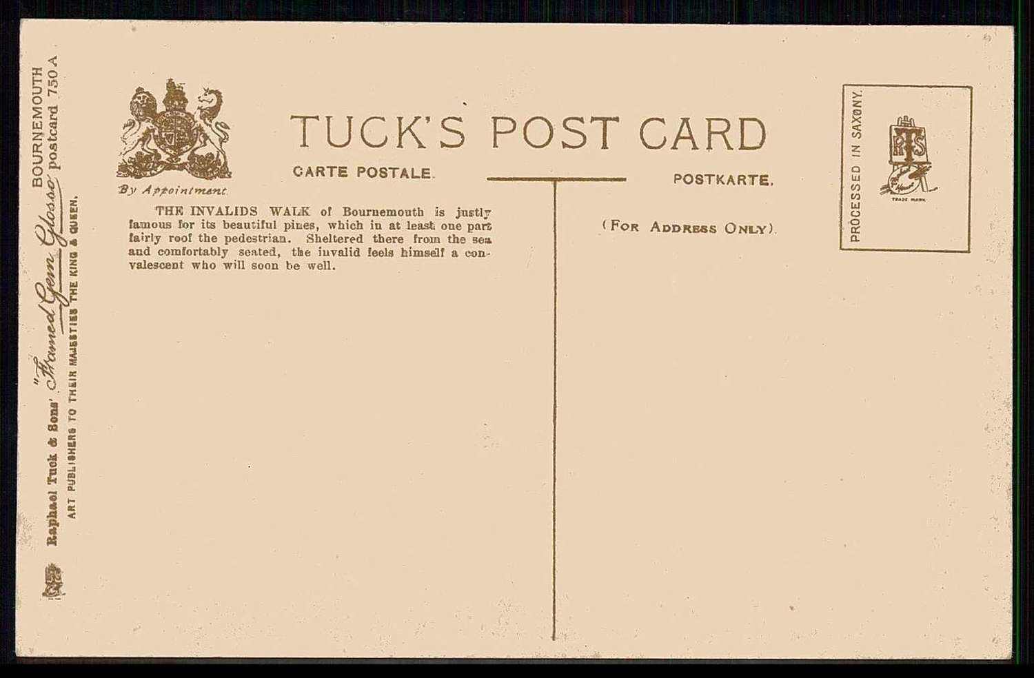 Image 1 for lot number 0000805294 for Veuskens Webshop 