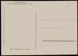 Fotokarte zu den Oberammergauer Passionsspielen 1900, hier Triumph ...