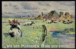 330: Deutsche Abstimmgeb. Schleswig - Postkarten