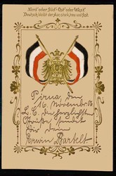 Eindrucksvolle Goldprägedruck-Patriotik-Karte, gelaufen 'Pirna 1906' ...