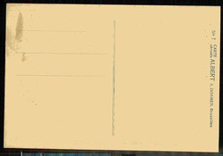 Belgien, Humorkarte mit dem Manneken Pis, um 1910, ungebraucht, gute ...