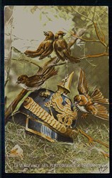 Belgien, antideutsche Propagandakarte aus der Zeit des I. WK, ...