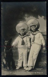Belgien, Fotokarte der Prinzen Leopold und Charles, ungebraucht, gute ...