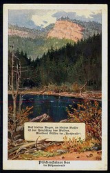 Verein für das Deutschtum im Ausland, Schüler-Mitgliedskarte für ...