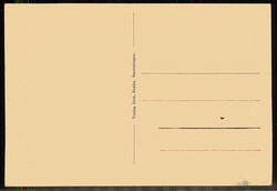 Stavenhagen, Ansicht auf das Schloss, ungebraucht, um 1910, gute ...