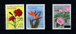 1665: Algerien