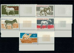 841030: Animals, Mammals, Horses