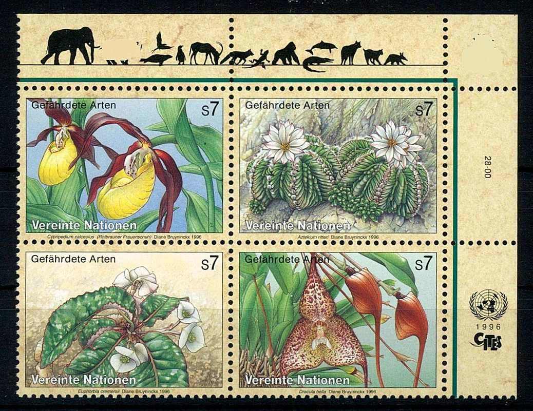 Gefährdete Arten (IV.): Flora 1996, im ZD-Viererblock aus der ...