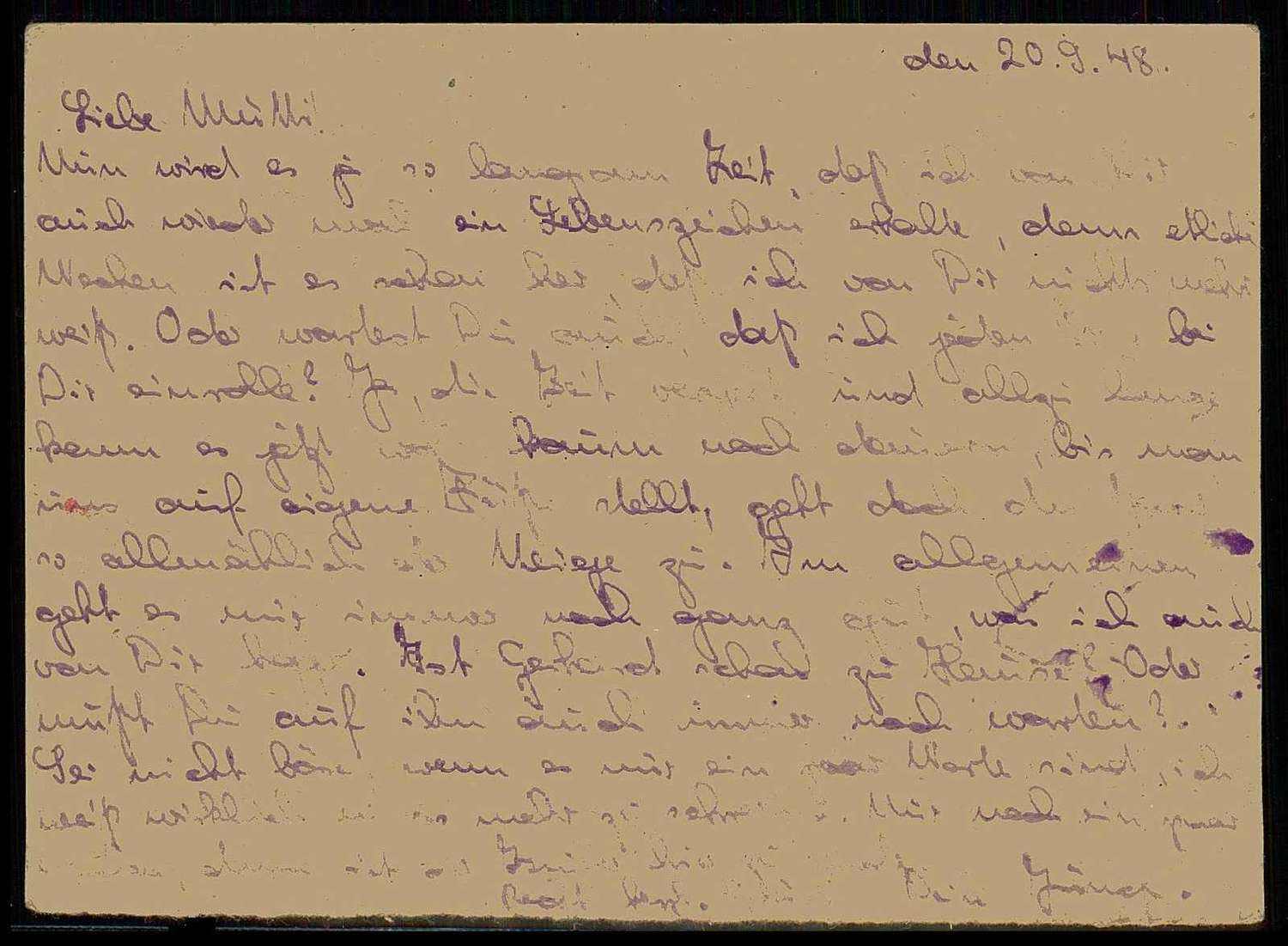 Image 1 for lot number 0001100799 for Veuskens Webshop 